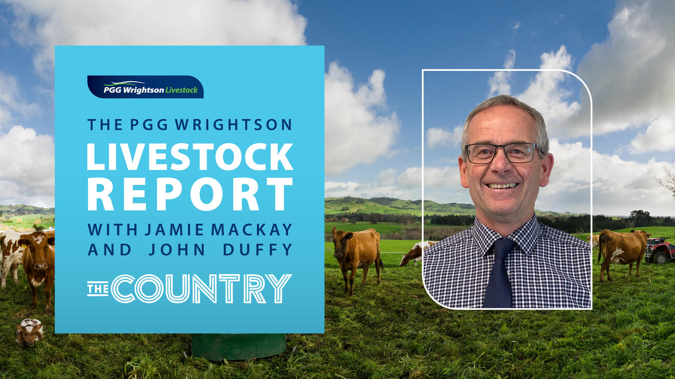 Livestock report Busy cattle sales in Otago PGG Wrightson
